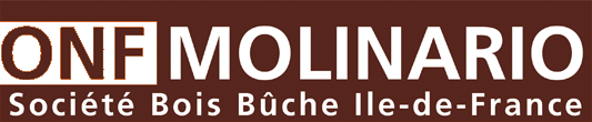 partenaire pile poele Vente de bois buche ONF MOLINARIO